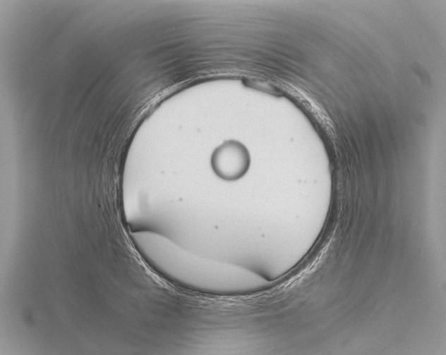 X0000115620993200912081019