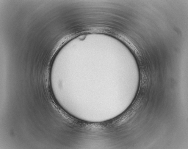 X0000115620994200912081019