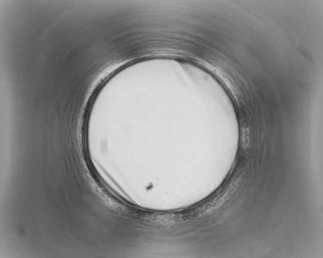 X0000115620995200912081019