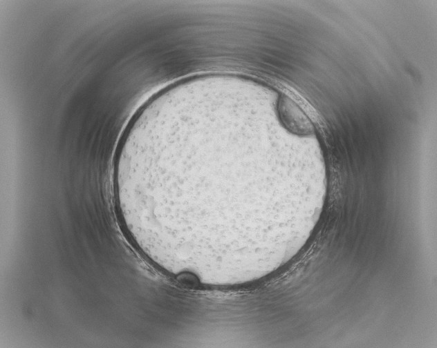 X0000115620996200912081019