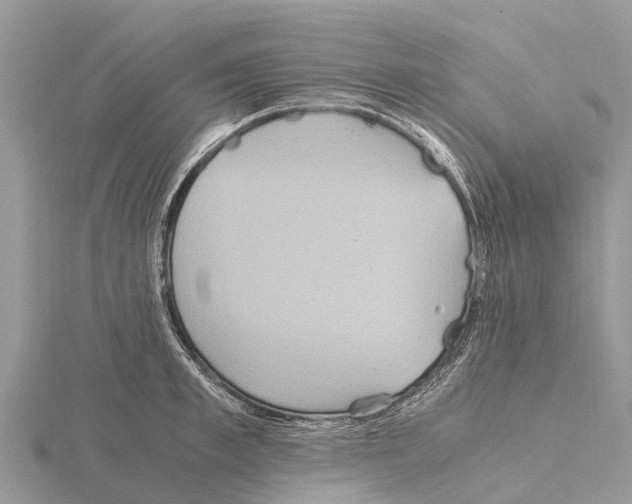 X0000115620997200912081019