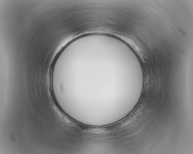 X0000115620998200912081019