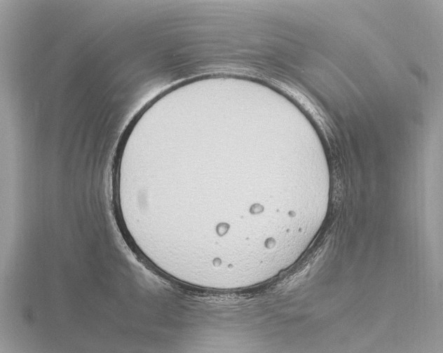 X0000115620999200912081019