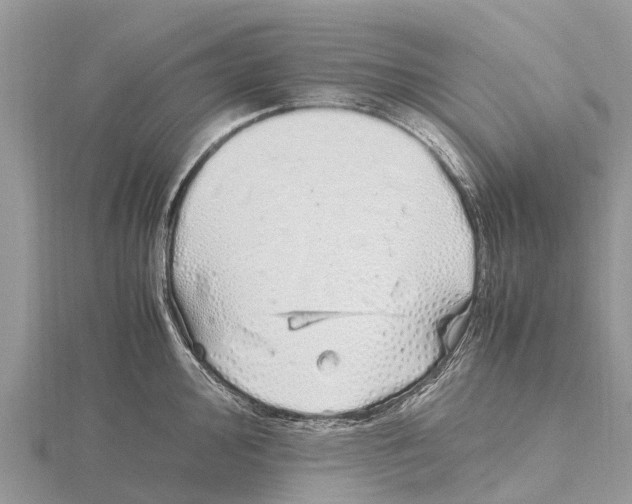 X0000115621000200912081019