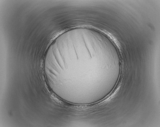 X0000115621001200912081019