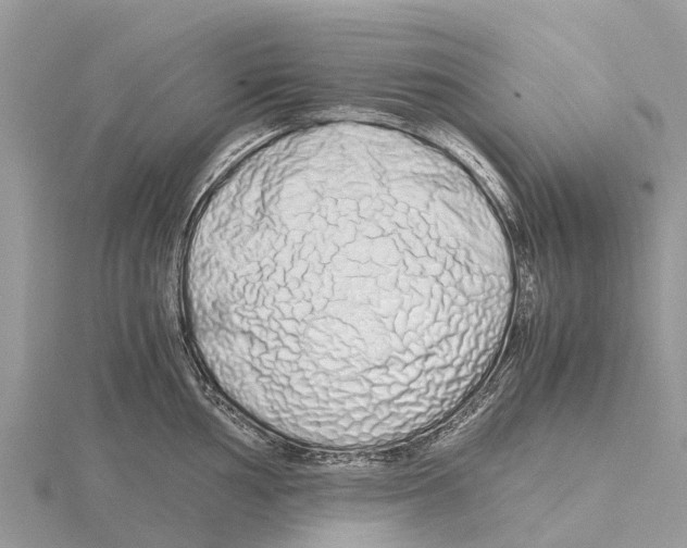 X0000115621002200912081019