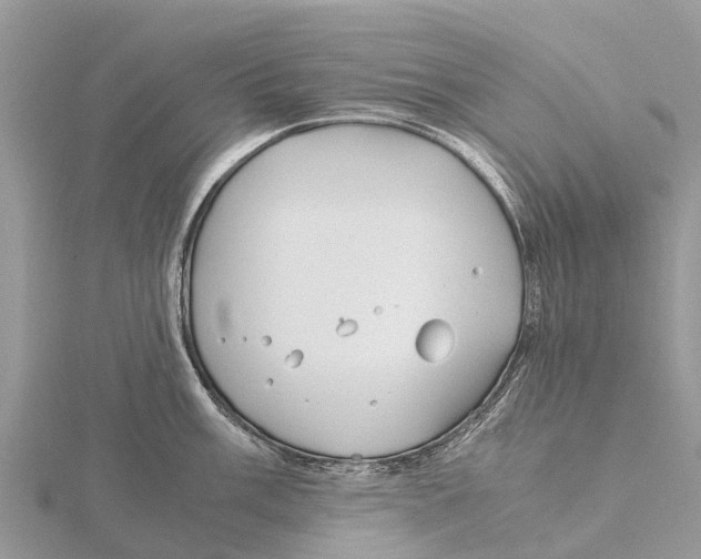 X0000115621003200912081019