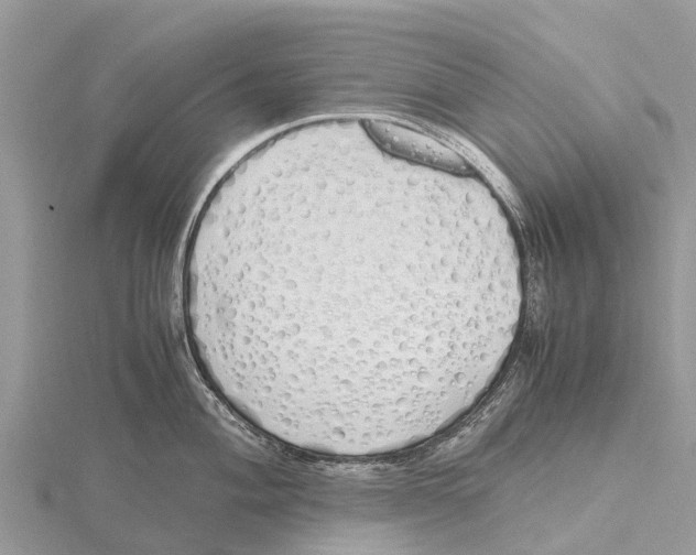 X0000115621004200912081019