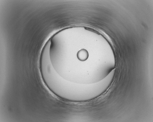 X0000115621005200912081019