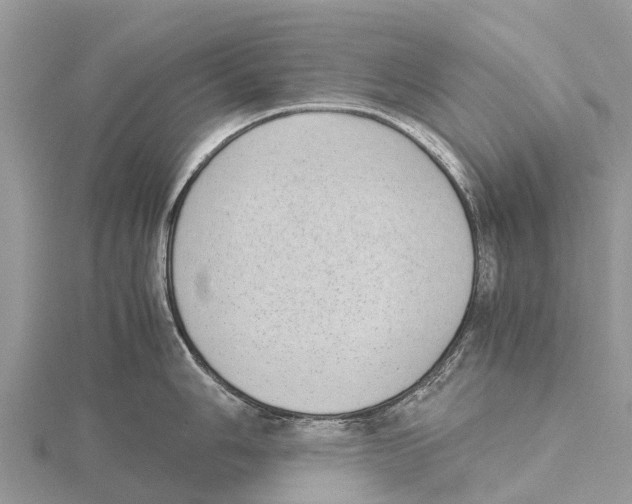 X0000115621006200912081019