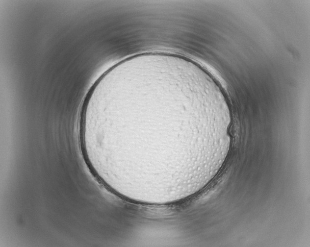 X0000115621007200912081019