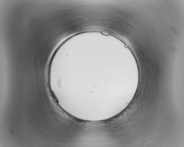 X0000115621008200912081019