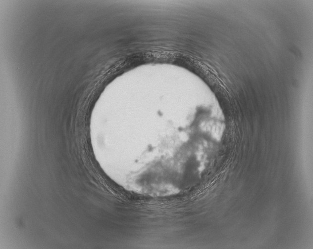 X0000115621009200912081019