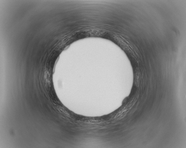 X0000115621010200912081019