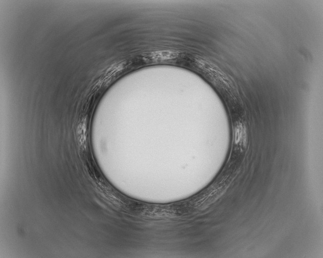 X0000115621011200912081019