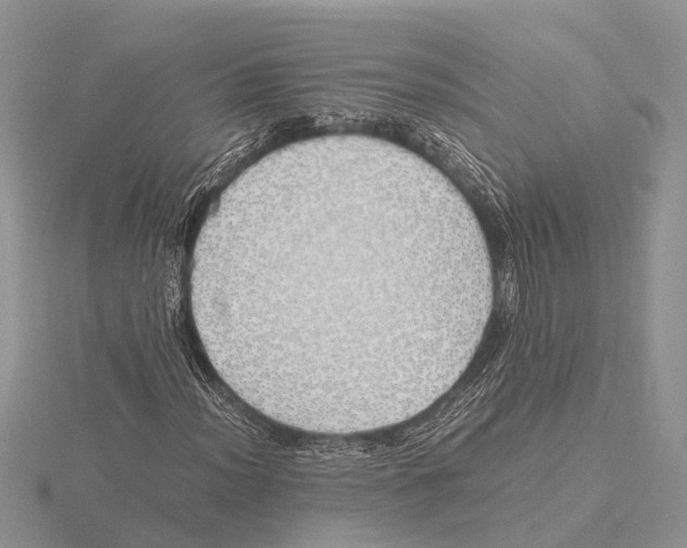 X0000115621012200912081019