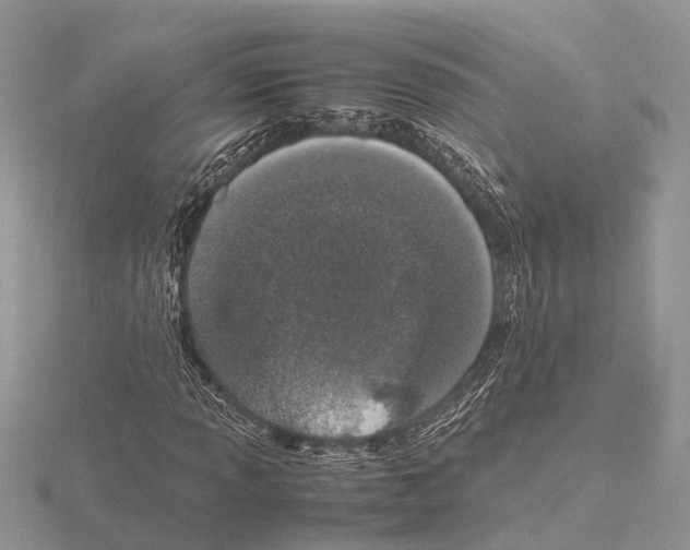 X0000115621013200912081019