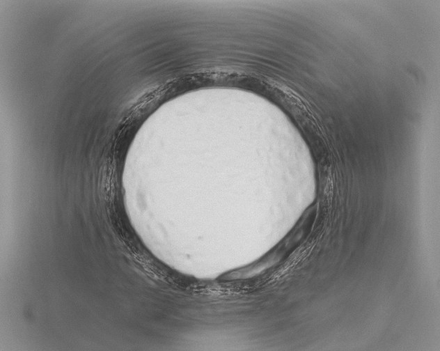 X0000115621014200912081019