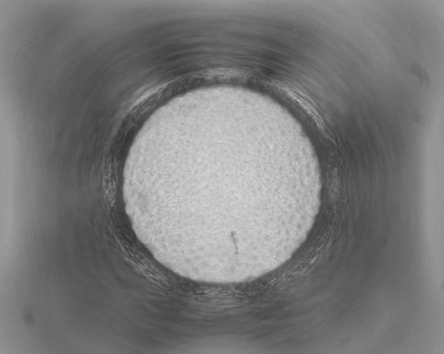 X0000115621015200912081019