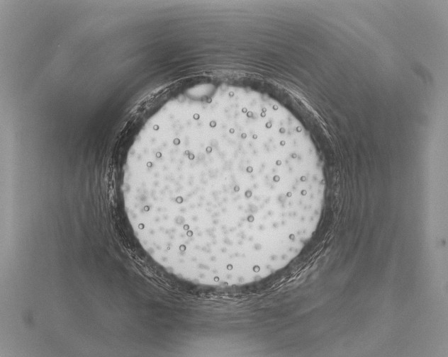 X0000115621016200912081019