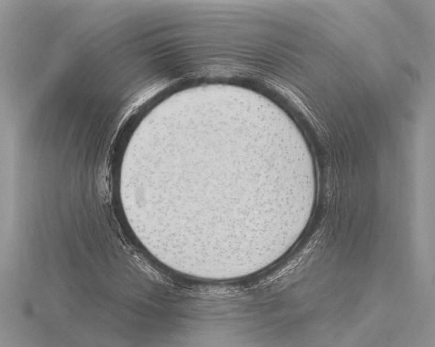 X0000115621018200912081019