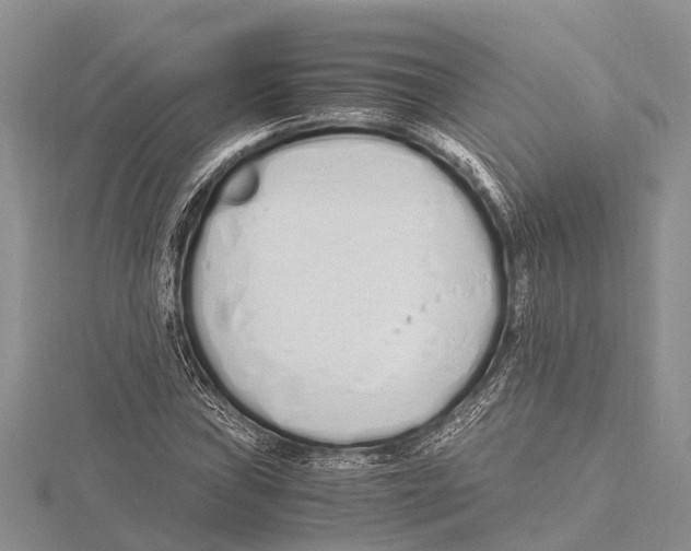 X0000115621019200912081019