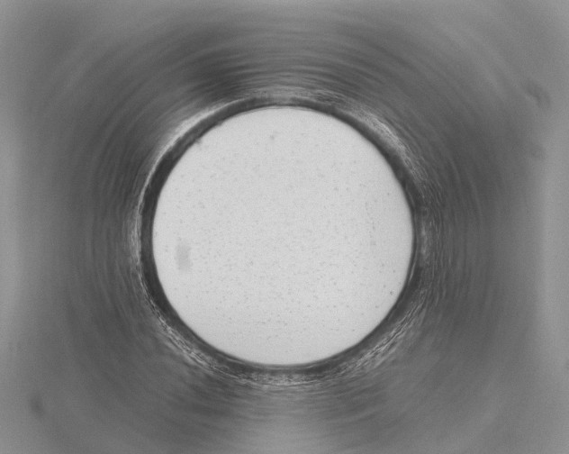 X0000115621020200912081019