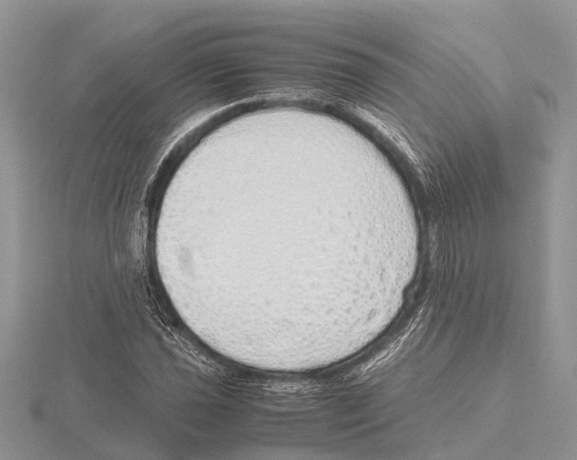 X0000115621021200912081019