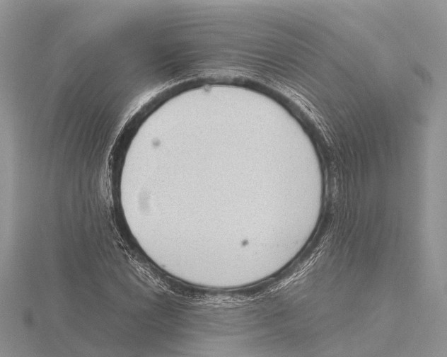 X0000115621022200912081019