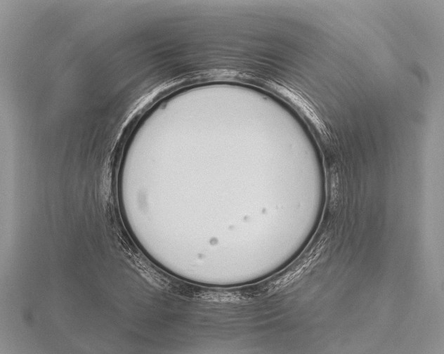 X0000115621023200912081019