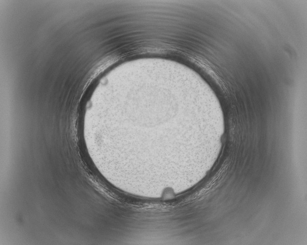 X0000115621026200912081019