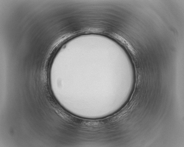 X0000115621027200912081019