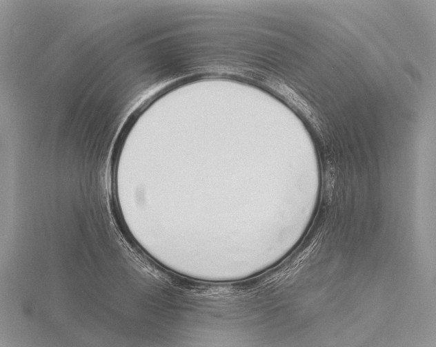 X0000115621028200912081019