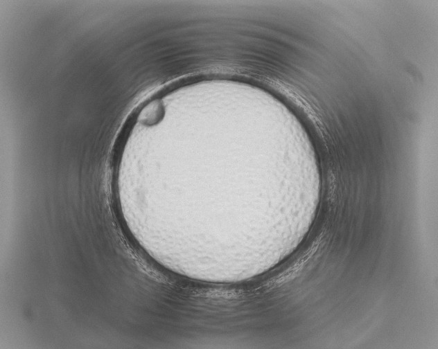 X0000115621029200912081019