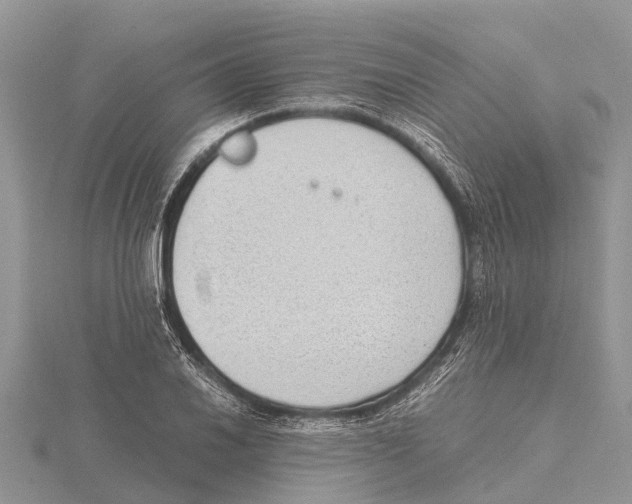 X0000115621030200912081019