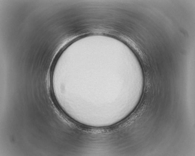 X0000115621032200912081019