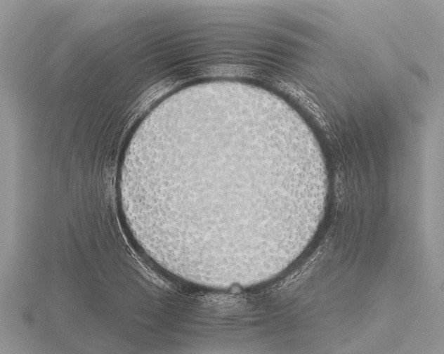 X0000115621033200912081019