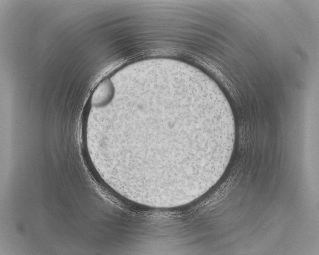 X0000115621034200912081019