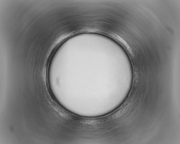 X0000115621035200912081019