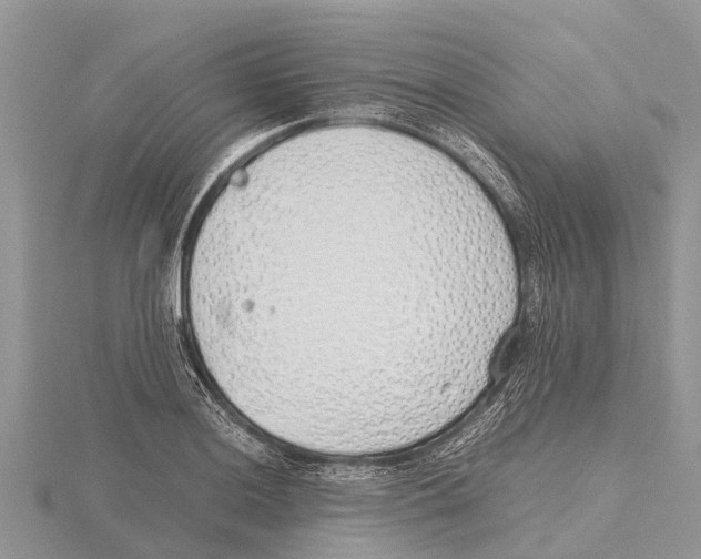 X0000115621036200912081019