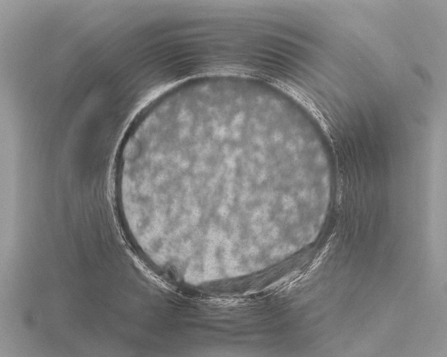 X0000115621037200912081019