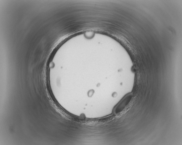 X0000115621038200912081019