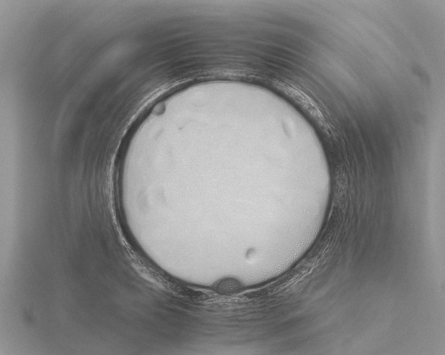 X0000115621039200912081019