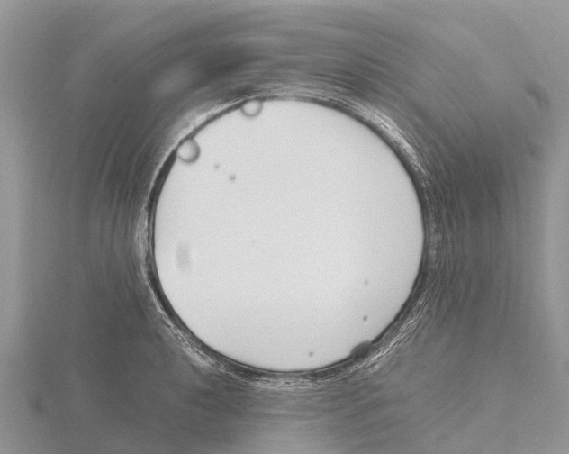 X0000115621040200912081019