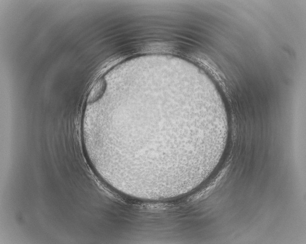 X0000115621041200912081019