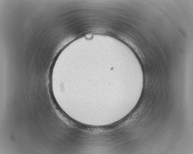 X0000115621042200912081019