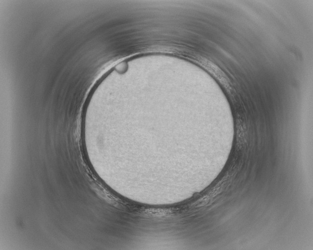 X0000115621044200912081019