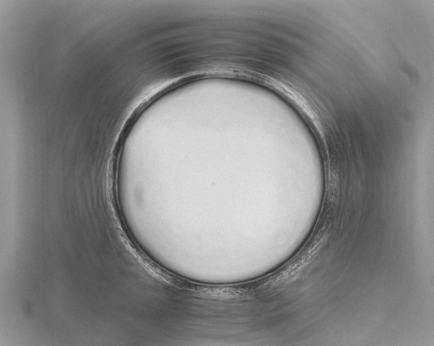 X0000115621045200912081019