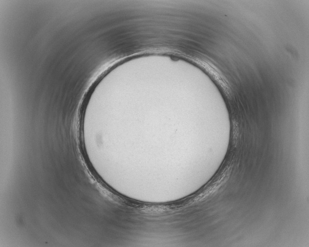 X0000115621046200912081019