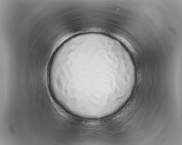 X0000115621047200912081019